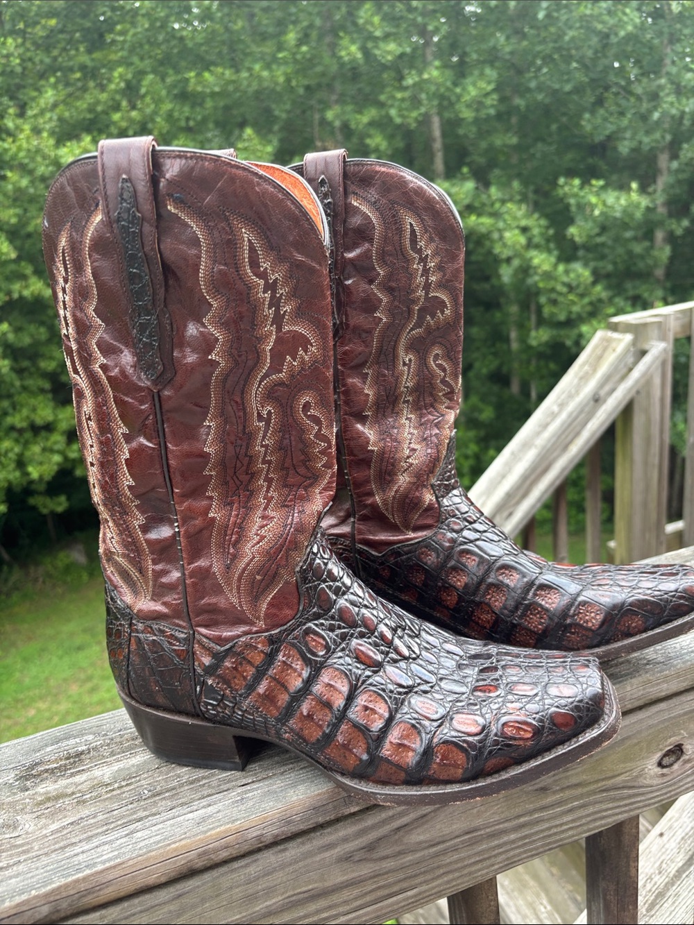 Dan Post Exotic Caiman boots bayou size 10.5 Cowboy western - Picture 3 of 17